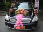 藍(lán)鳥租車,順德租車